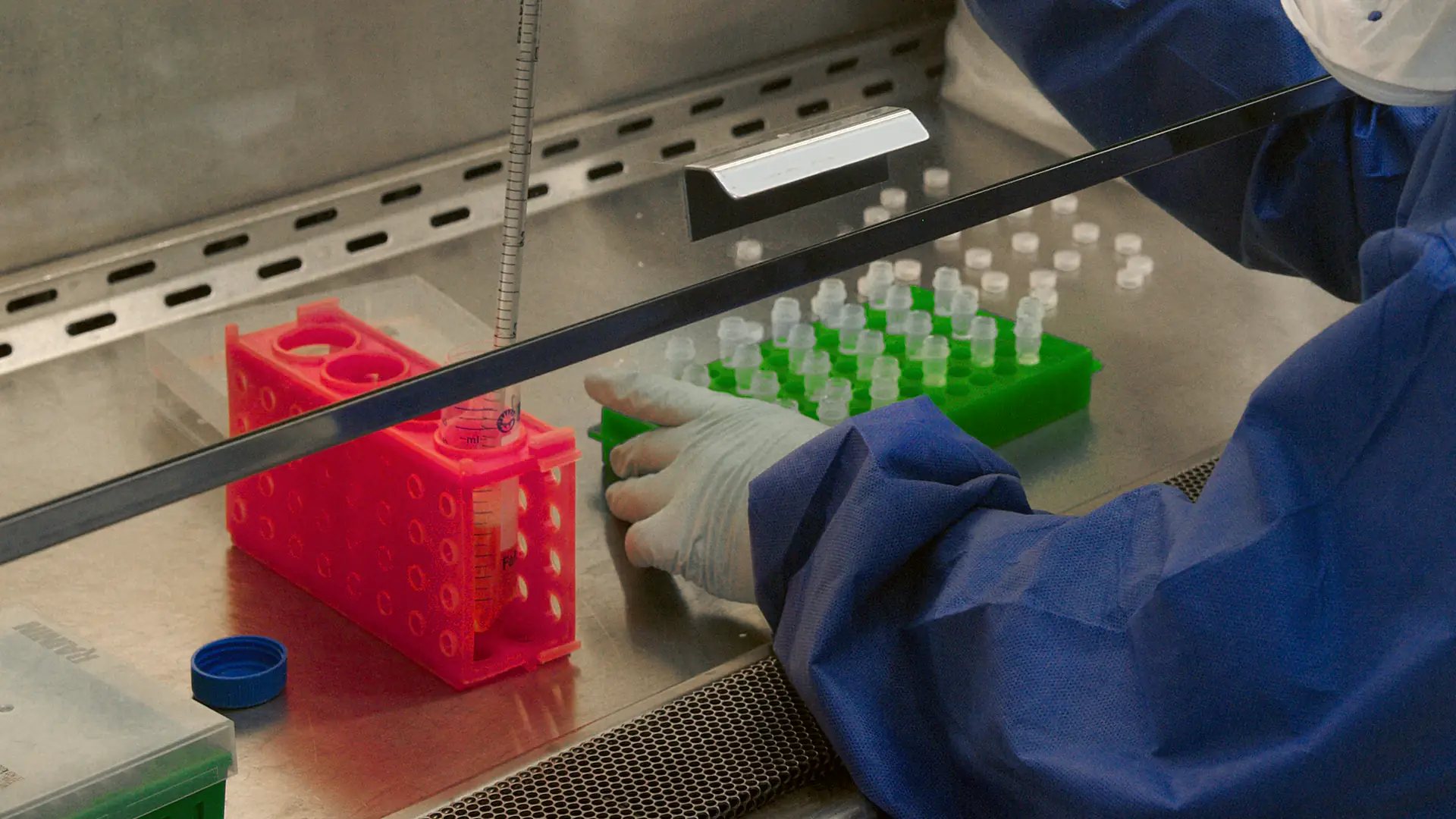 Gloved hands moving a sample between tubes in a biology lab